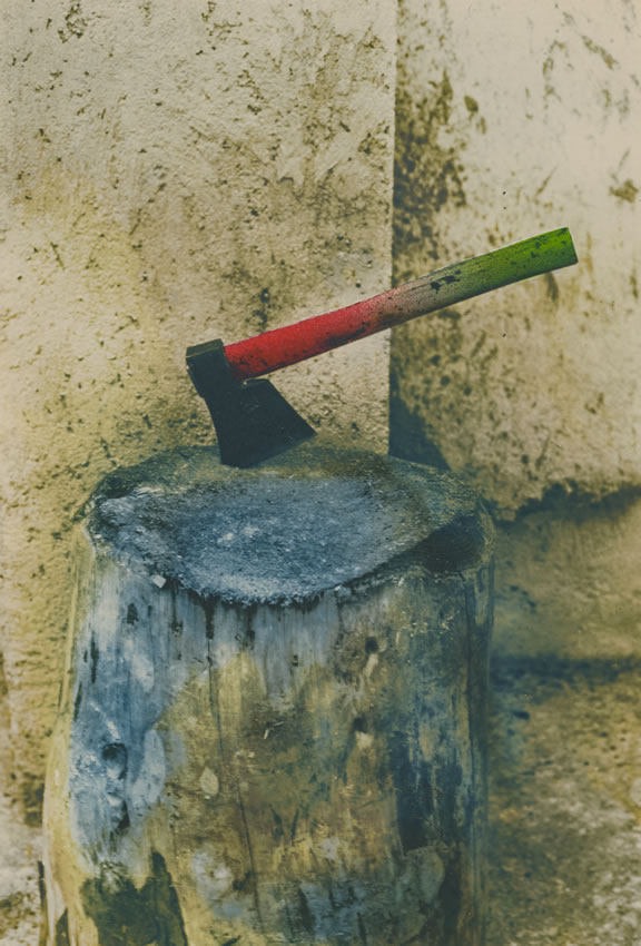 immagine colorate - foto2