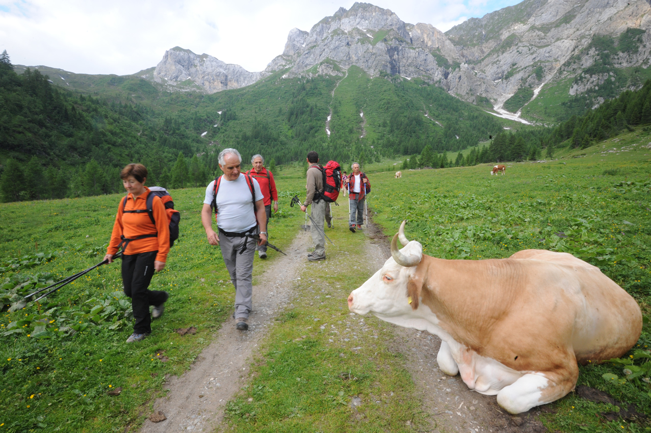 immagine luggau - foto1