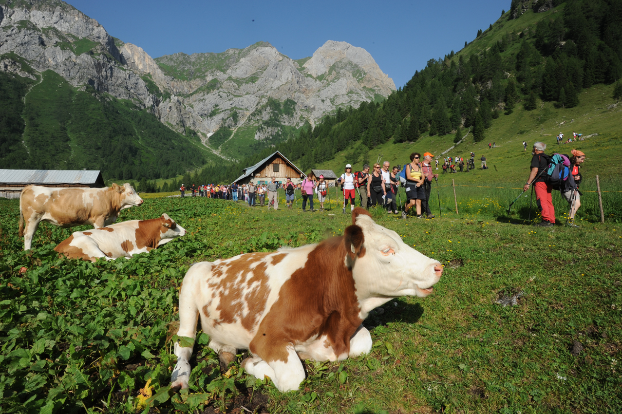 immagine luggau - foto6
