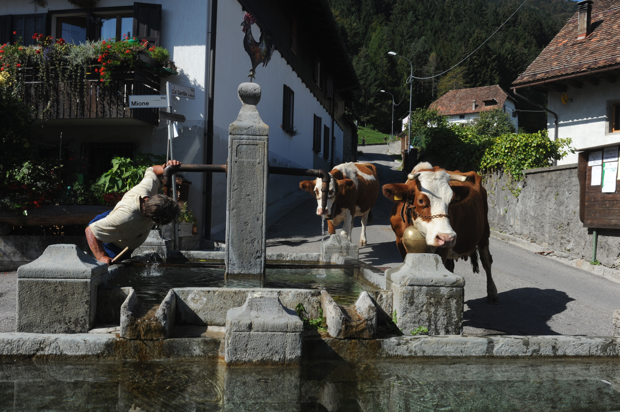 immagine malghe - foto6